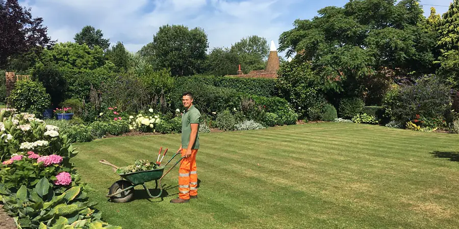 Garden maintenance Landscaping Garden Design