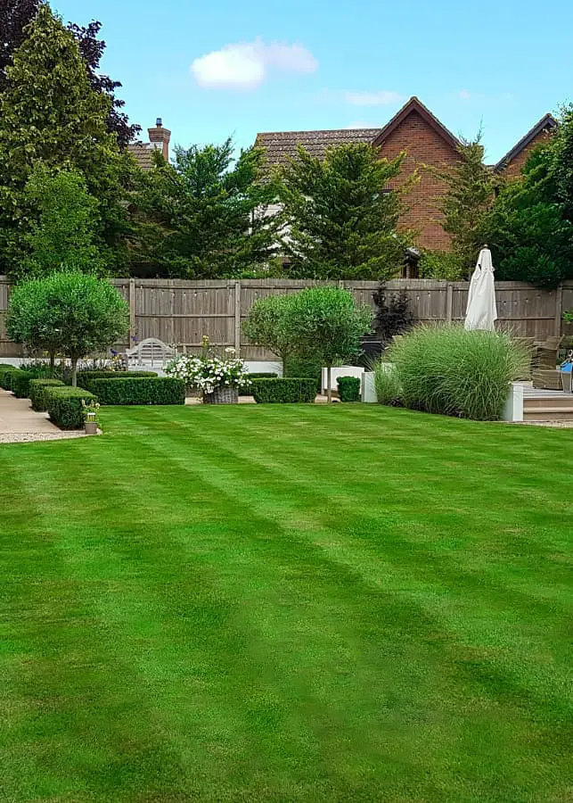 Lawncare Pearson's Landscapes